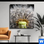 Leinwandbild Pusteblume No 10 Quadrat Produktvorschau mit dem Bild Pusteblume No. 10 im Format Quadrat.
