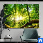 Leinwandbild Sonnenstrahlen Im Dichten Wald Querformat Produktvorschau mit dem Bild Sonnenstrahlen im dichten Wald im Format Querformat.