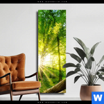 Leinwandbild Sonnenstrahlen Im Dichten Wald Schmal Produktvorschau mit dem Bild Sonnenstrahlen im dichten Wald im Format Schmal.