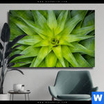 Leinwandbild Spitze Agavenblaetter Querformat Produktvorschau mit dem Bild Spitze Agavenblätter im Format Querformat.