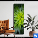 Leinwandbild Spitze Agavenblaetter Schmal Produktvorschau mit dem Bild Spitze Agavenblätter im Format Schmal.