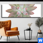 Leinwandbild Sukkulente No 1 Panorama Produktvorschau mit dem Bild Sukkulente No.1 im Format Panorama.