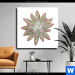 Leinwandbild Sukkulente No 1 Quadrat Produktvorschau mit dem Bild Sukkulente No.1 im Format Quadrat.
