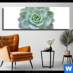 Leinwandbild Sukkulente No 3 Panorama Produktvorschau mit dem Bild Sukkulente No.3 im Format Panorama.