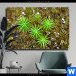 Leinwandbild Tautropfen Auf Moos Querformat Produktvorschau mit dem Bild Tautropfen auf Moos im Format Querformat.