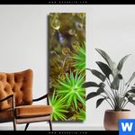 Leinwandbild Tautropfen Auf Moos Schmal Produktvorschau mit dem Bild Tautropfen auf Moos im Format Schmal.