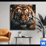 Leinwandbild Tiger Im Wasser Quadrat Produktvorschau mit dem Bild Tiger im Wasser im Format Quadrat.