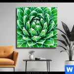 Leinwandbild Tropische Pflanze Quadrat Produktvorschau mit dem Bild Tropische Pflanze im Format Quadrat.