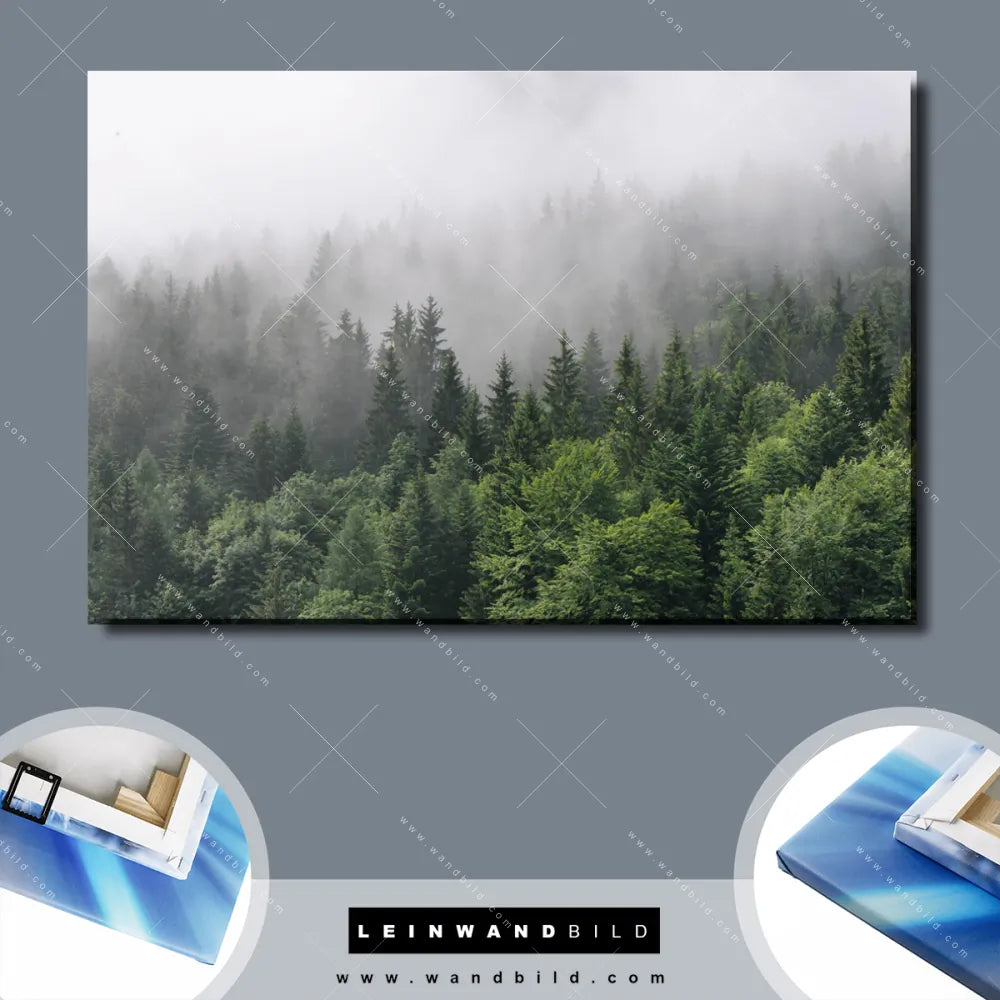 Leinwandbild von wandbild.com - Wald im Nebel - Querformat