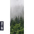 Leinwandbild Wald Im Nebel Schmal Motivorschau Seitenverhaeltnis 2 5
