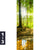Leinwandbild Wald Mit Sonnenstrahlen Schmal Motivorschau Seitenverhaeltnis 1 3