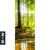 Leinwandbild Wald Mit Sonnenstrahlen Schmal Motivorschau Seitenverhaeltnis 2 5