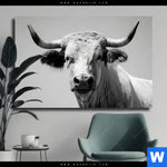 Leinwandbild Weisser Bulle Querformat Produktvorschau mit dem Bild Weisser Bulle im Format Querformat.