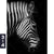 Leinwandbild Zebra Schwarzweiss Hochformat Motivorschau Seitenverhaeltnis 3 4