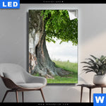 Leuchtbild Alte Linde Auf Sommerwiese Hochformat Produktvorschau mit dem Bild Alte Linde auf Sommerwiese im Format Hochformat.