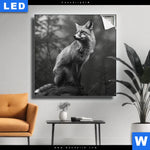 Leuchtbild Anmutiger Fuchs Quadrat Produktvorschau mit dem Bild Anmutiger Fuchs im Format Quadrat.
