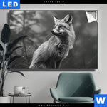 Leuchtbild Anmutiger Fuchs Querformat Produktvorschau mit dem Bild Anmutiger Fuchs im Format Querformat.