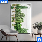 Leuchtbild Aromen Der Gruenen Kueche Hochformat Produktvorschau mit dem Bild Aromen der grünen Küche im Format Hochformat.