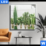 Leuchtbild Aromen Der Gruenen Kueche Quadrat Produktvorschau mit dem Bild Aromen der grünen Küche im Format Quadrat.