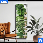 Leuchtbild Aromen Der Gruenen Kueche Schmal Produktvorschau mit dem Bild Aromen der grünen Küche im Format Schmal.