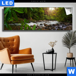 Leuchtbild Asiatischer Tropischer Dschungel Panorama Produktvorschau mit dem Bild Asiatischer tropischer Dschungel im Format Panorama.