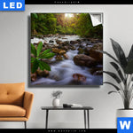 Leuchtbild Asiatischer Tropischer Dschungel Quadrat Produktvorschau mit dem Bild Asiatischer tropischer Dschungel im Format Quadrat.