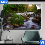 Leuchtbild Asiatischer Tropischer Dschungel Querformat Produktvorschau mit dem Bild Asiatischer tropischer Dschungel im Format Querformat.