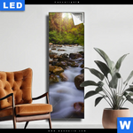 Leuchtbild Asiatischer Tropischer Dschungel Schmal Produktvorschau mit dem Bild Asiatischer tropischer Dschungel im Format Schmal.