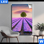 Leuchtbild Baum Im Blumenfeld Hochformat Produktvorschau mit dem Bild Baum im Blumenfeld im Format Hochformat.