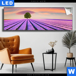 Leuchtbild Baum Im Blumenfeld Panorama Produktvorschau mit dem Bild Baum im Blumenfeld im Format Panorama.