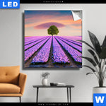 Leuchtbild Baum Im Blumenfeld Quadrat Produktvorschau mit dem Bild Baum im Blumenfeld im Format Quadrat.