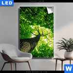 Leuchtbild Baum Im Wald Hochformat Produktvorschau mit dem Bild Baum im Wald im Format Hochformat.