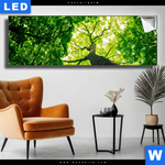Leuchtbild Baum Im Wald Panorama Produktvorschau mit dem Bild Baum im Wald im Format Panorama.