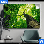 Leuchtbild Baum Im Wald Querformat Produktvorschau mit dem Bild Baum im Wald im Format Querformat.