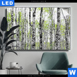 Leuchtbild Birkenwald Querformat Produktvorschau mit dem Bild Birkenwald im Format Querformat.