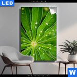 Leuchtbild Blatt Mit Wassertropfen Hochformat Produktvorschau mit dem Bild Blatt mit Wassertropfen im Format Hochformat.