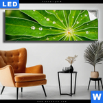 Leuchtbild Blatt Mit Wassertropfen Panorama Produktvorschau mit dem Bild Blatt mit Wassertropfen im Format Panorama.