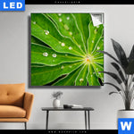 Leuchtbild Blatt Mit Wassertropfen Quadrat Produktvorschau mit dem Bild Blatt mit Wassertropfen im Format Quadrat.