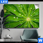 Leuchtbild Blatt Mit Wassertropfen Querformat Produktvorschau mit dem Bild Blatt mit Wassertropfen im Format Querformat.