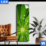Leuchtbild Blatt Mit Wassertropfen Schmal Produktvorschau mit dem Bild Blatt mit Wassertropfen im Format Schmal.