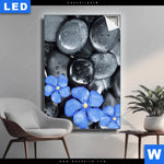 Leuchtbild Blaue Blume Graue Steine Hochformat Produktvorschau mit dem Bild Blaue Blume & Graue Steine im Format Hochformat.