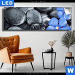 Leuchtbild Blaue Blume Graue Steine Panorama Produktvorschau mit dem Bild Blaue Blume & Graue Steine im Format Panorama.