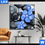 Leuchtbild Blaue Blume Graue Steine Quadrat Produktvorschau mit dem Bild Blaue Blume & Graue Steine im Format Quadrat.