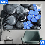 Leuchtbild Blaue Blume Graue Steine Querformat Produktvorschau mit dem Bild Blaue Blume & Graue Steine im Format Querformat.