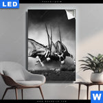 Leuchtbild Das Duell Hochformat Produktvorschau mit dem Bild Das Duell im Format Hochformat.