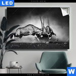 Leuchtbild Das Duell Querformat Produktvorschau mit dem Bild Das Duell im Format Querformat.