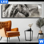Leuchtbild Das Pferd Wild Schoen Panorama Produktvorschau mit dem Bild Das Pferd - wild & schön im Format Panorama.