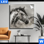 Leuchtbild Das Pferd Wild Schoen Quadrat Produktvorschau mit dem Bild Das Pferd - wild & schön im Format Quadrat.