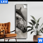 Leuchtbild Das Pferd Wild Schoen Schmal Produktvorschau mit dem Bild Das Pferd - wild & schön im Format Schmal.