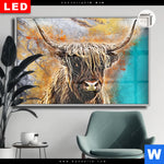 Leuchtbild Dia Abstrakter Highlander Querformat Produktvorschau mit dem Bild Abstrakter Highlander im Format Querformat.